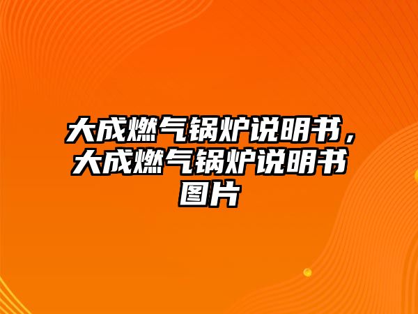 大成燃氣鍋爐說明書，大成燃氣鍋爐說明書圖片