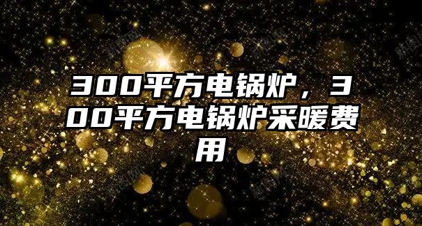 300平方電鍋爐，300平方電鍋爐采暖費用