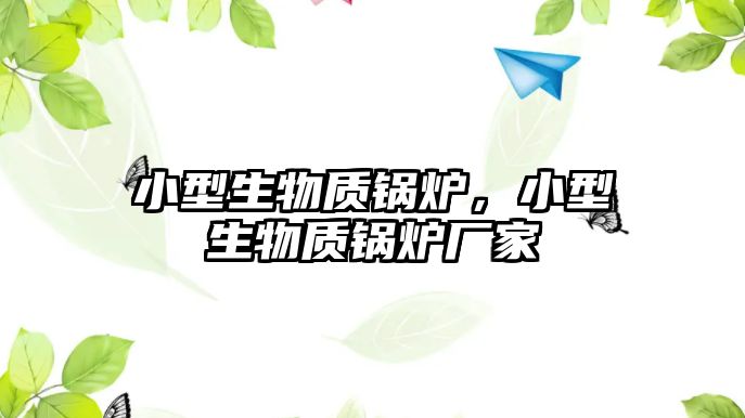 小型生物質(zhì)鍋爐，小型生物質(zhì)鍋爐廠家