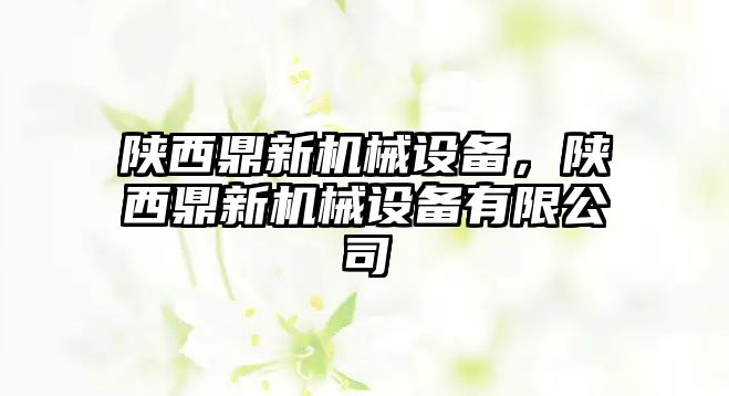 陜西鼎新機械設備，陜西鼎新機械設備有限公司