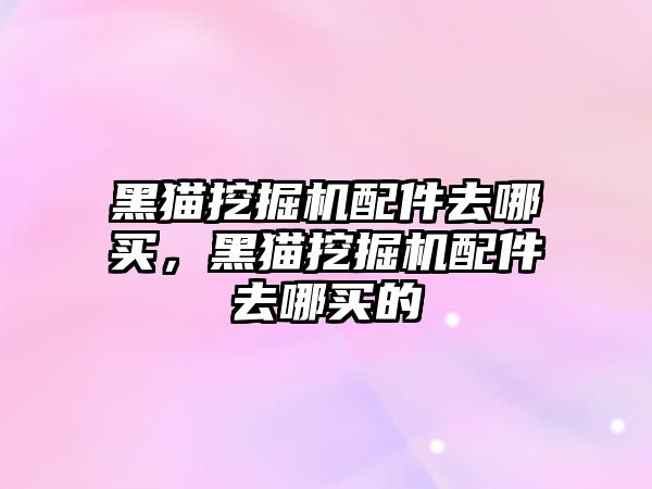 黑貓挖掘機配件去哪買，黑貓挖掘機配件去哪買的