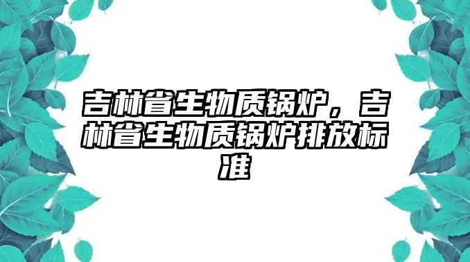 吉林省生物質鍋爐，吉林省生物質鍋爐排放標準