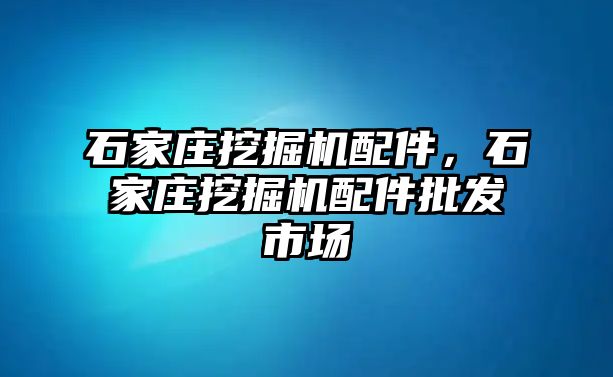 石家莊挖掘機(jī)配件，石家莊挖掘機(jī)配件批發(fā)市場(chǎng)