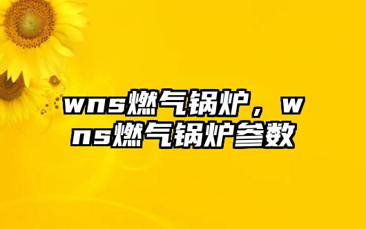 wns燃氣鍋爐，wns燃氣鍋爐參數