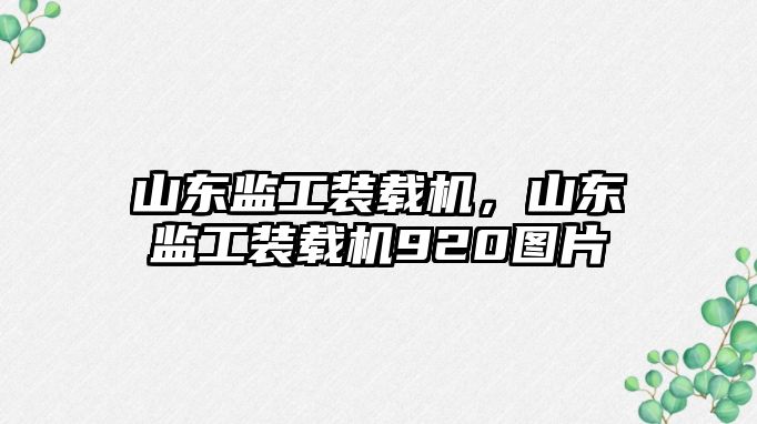 山東監工裝載機，山東監工裝載機920圖片