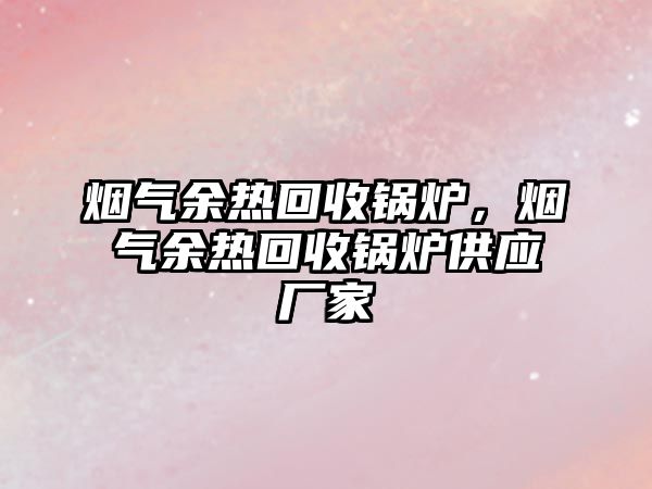 煙氣余熱回收鍋爐，煙氣余熱回收鍋爐供應廠家