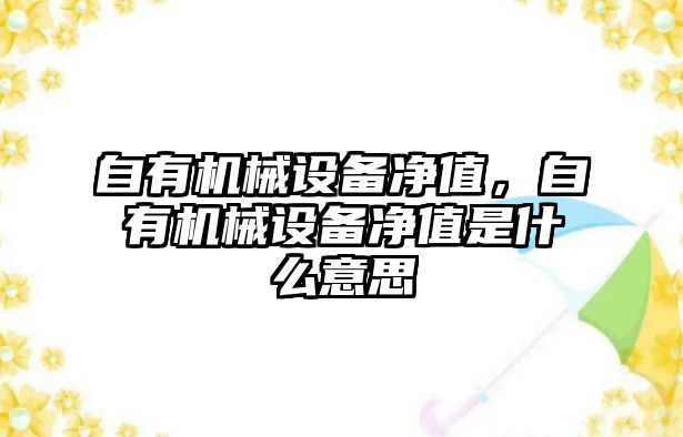 自有機械設備凈值，自有機械設備凈值是什么意思