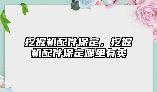 挖掘機(jī)配件保定，挖掘機(jī)配件保定哪里有賣