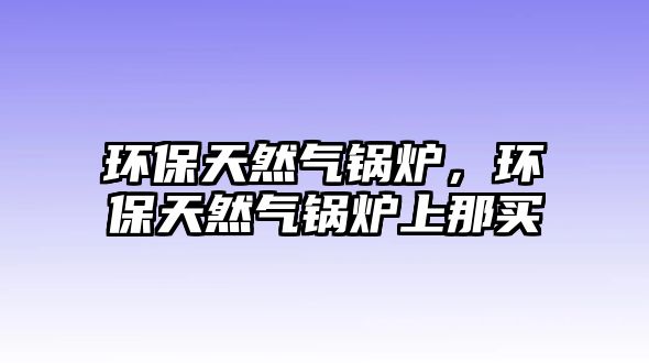 環(huán)保天然氣鍋爐，環(huán)保天然氣鍋爐上那買