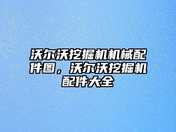 沃爾沃挖掘機機械配件圖，沃爾沃挖掘機配件大全