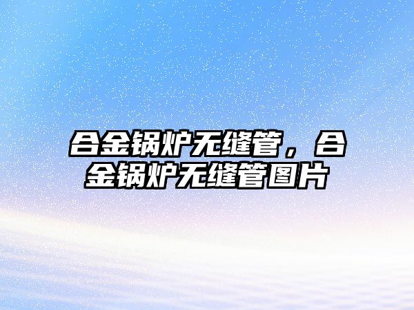 合金鍋爐無縫管，合金鍋爐無縫管圖片