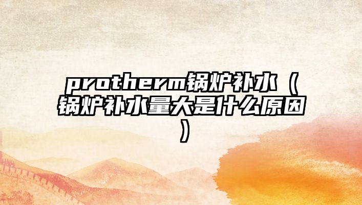 protherm鍋爐補水（鍋爐補水量大是什么原因）