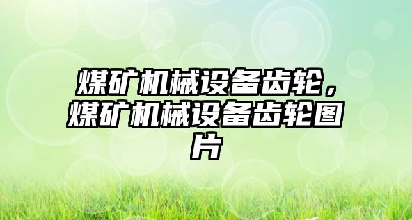 煤礦機械設備齒輪，煤礦機械設備齒輪圖片