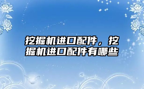 挖掘機進口配件，挖掘機進口配件有哪些