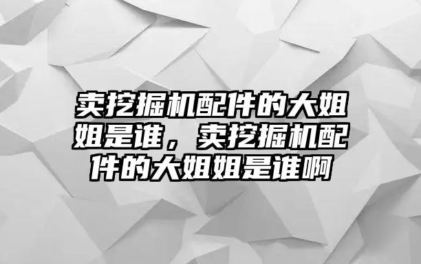 賣挖掘機配件的大姐姐是誰，賣挖掘機配件的大姐姐是誰啊