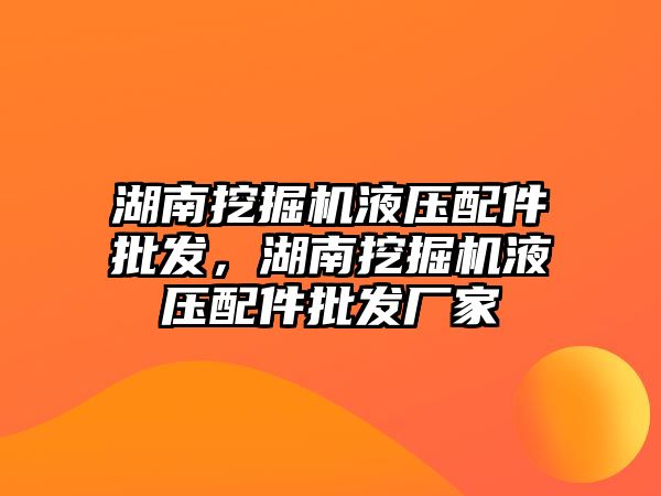 湖南挖掘機液壓配件批發，湖南挖掘機液壓配件批發廠家