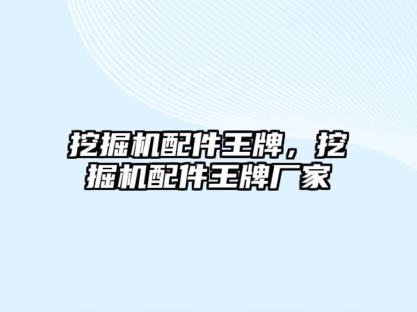 挖掘機配件王牌，挖掘機配件王牌廠家