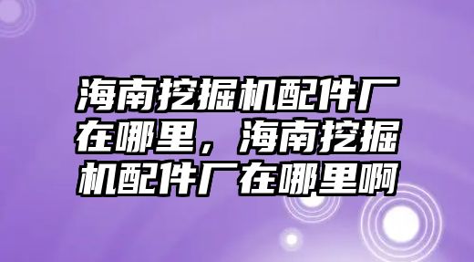 海南挖掘機配件廠在哪里，海南挖掘機配件廠在哪里啊