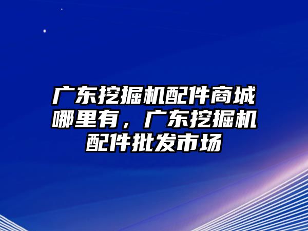 廣東挖掘機配件商城哪里有，廣東挖掘機配件批發市場