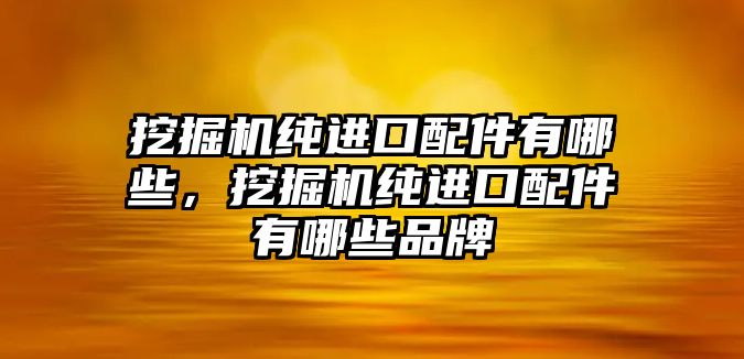 挖掘機純進口配件有哪些，挖掘機純進口配件有哪些品牌