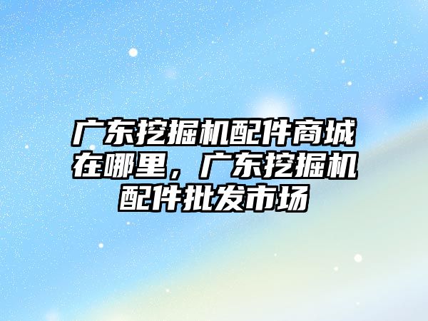 廣東挖掘機配件商城在哪里，廣東挖掘機配件批發市場