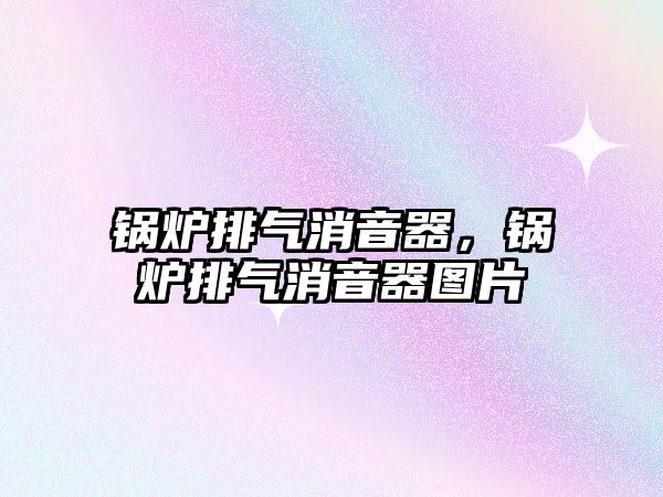 鍋爐排氣消音器，鍋爐排氣消音器圖片