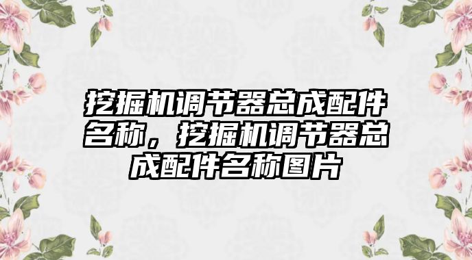 挖掘機調節器總成配件名稱，挖掘機調節器總成配件名稱圖片