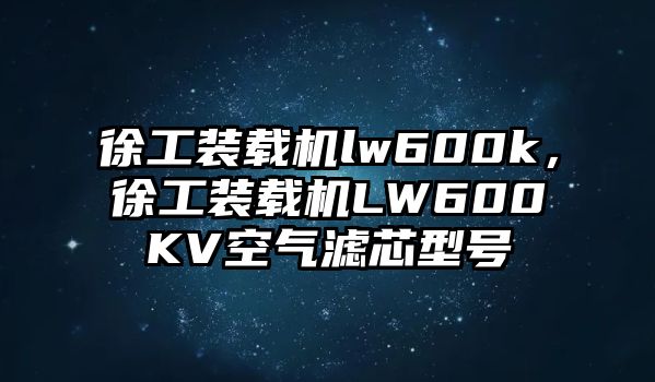 徐工裝載機lw600k，徐工裝載機LW600KV空氣濾芯型號