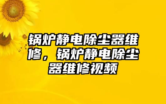 鍋爐靜電除塵器維修，鍋爐靜電除塵器維修視頻