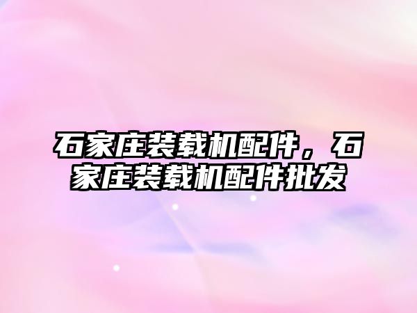 石家莊裝載機配件，石家莊裝載機配件批發