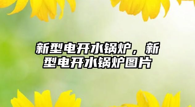 新型電開水鍋爐，新型電開水鍋爐圖片