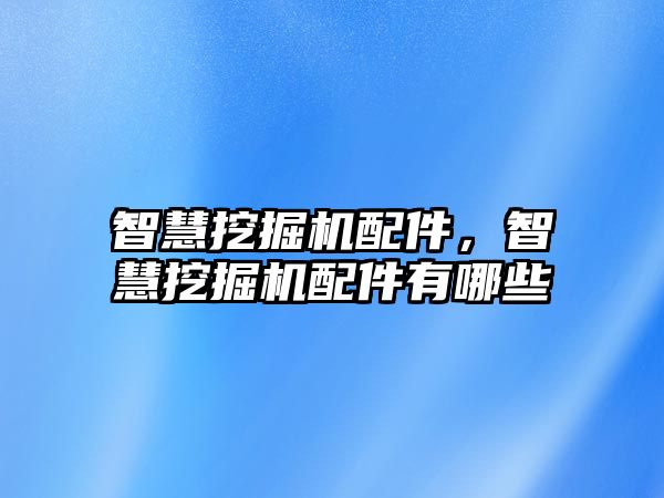 智慧挖掘機配件，智慧挖掘機配件有哪些