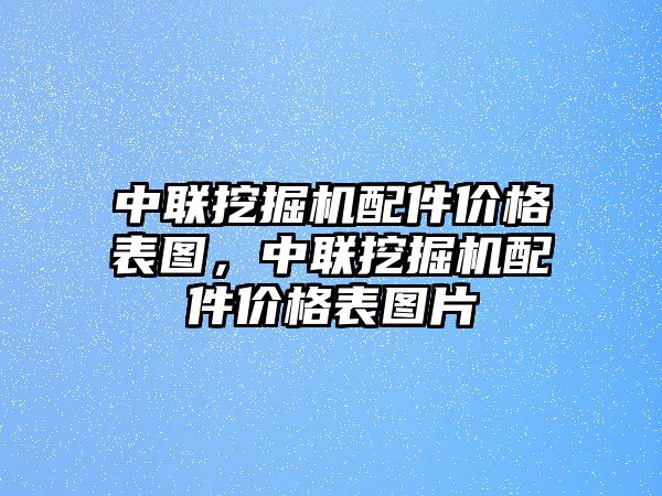 中聯挖掘機配件價格表圖，中聯挖掘機配件價格表圖片