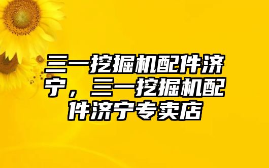 三一挖掘機配件濟寧，三一挖掘機配件濟寧專賣店