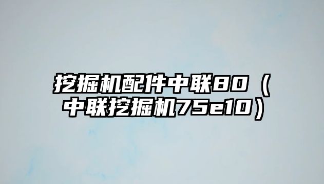 挖掘機配件中聯(lián)80（中聯(lián)挖掘機75e10）