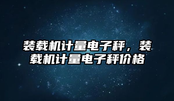 裝載機計量電子秤，裝載機計量電子秤價格