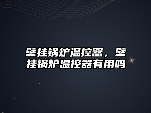 壁掛鍋爐溫控器，壁掛鍋爐溫控器有用嗎