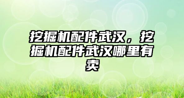 挖掘機配件武漢，挖掘機配件武漢哪里有賣