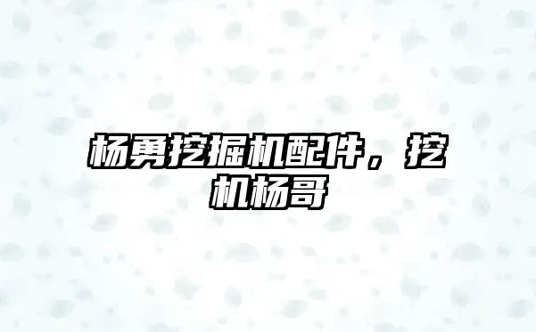 楊勇挖掘機配件，挖機楊哥