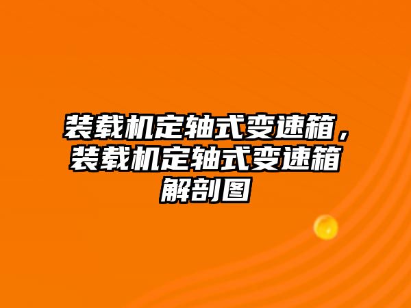 裝載機定軸式變速箱，裝載機定軸式變速箱解剖圖