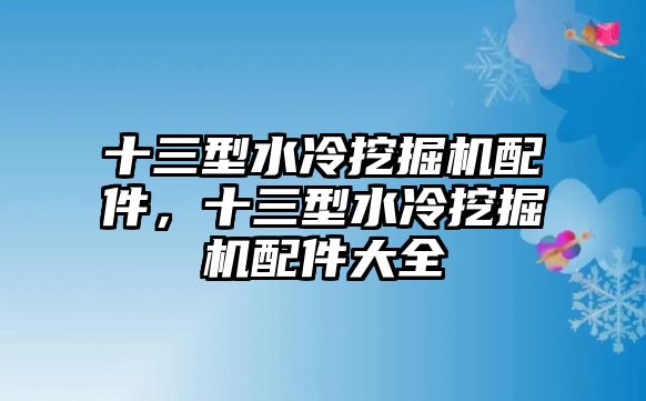 十三型水冷挖掘機配件，十三型水冷挖掘機配件大全