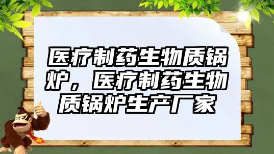 醫療制藥生物質鍋爐，醫療制藥生物質鍋爐生產廠家