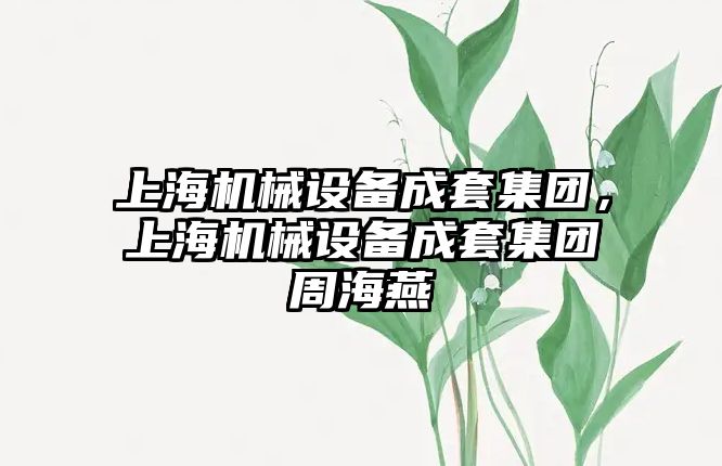 上海機械設備成套集團，上海機械設備成套集團周海燕