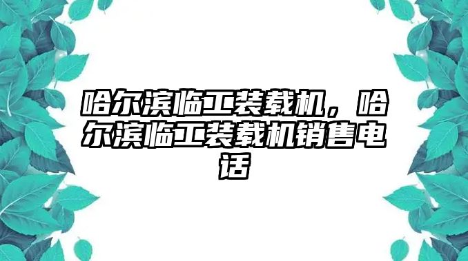 哈爾濱臨工裝載機，哈爾濱臨工裝載機銷售電話