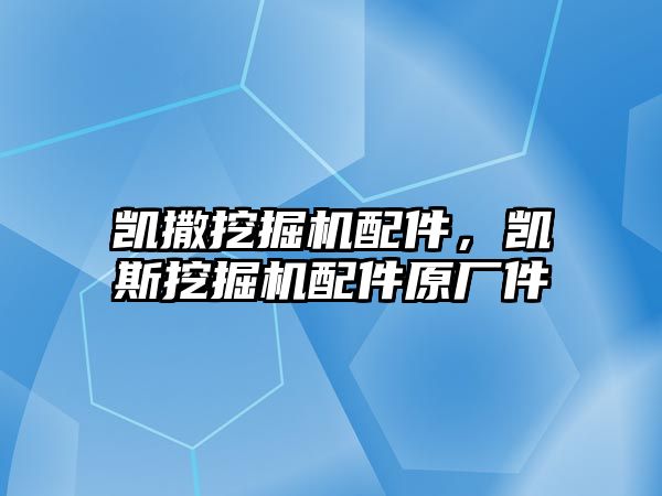 凱撒挖掘機配件，凱斯挖掘機配件原廠件