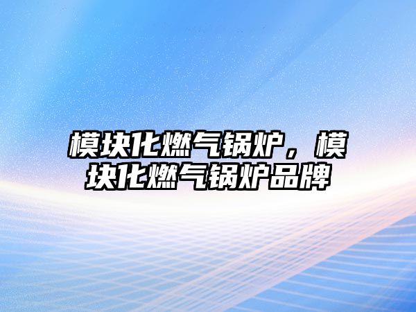 模塊化燃?xì)忮仩t，模塊化燃?xì)忮仩t品牌