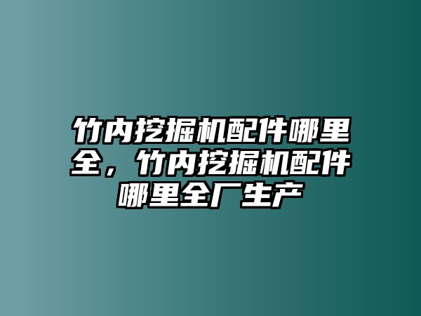 竹內挖掘機配件哪里全，竹內挖掘機配件哪里全廠生產