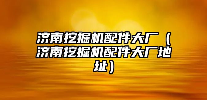 濟南挖掘機配件大廠（濟南挖掘機配件大廠地址）