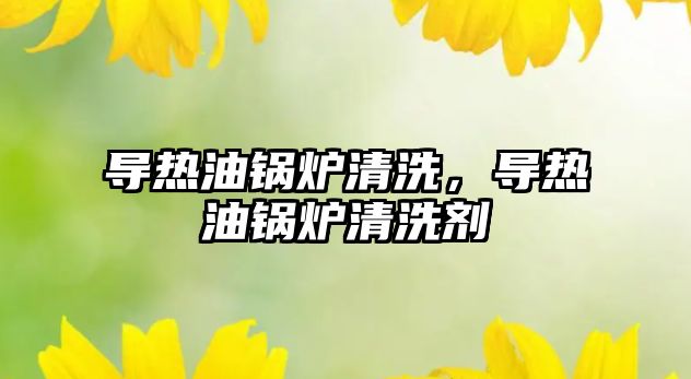 導熱油鍋爐清洗，導熱油鍋爐清洗劑