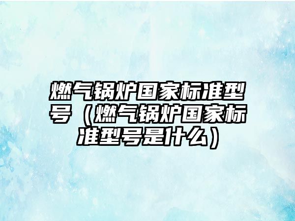 燃氣鍋爐國家標準型號（燃氣鍋爐國家標準型號是什么）